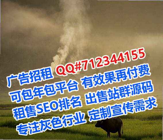 吉水代妈储能经营部